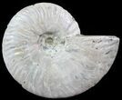 Silver Iridescent Ammonite - Madagascar #51494-1